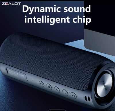 Temu 11.11 sale picks Zealot wireless speaker